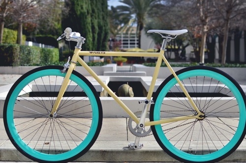 Sergio bianchi Evo