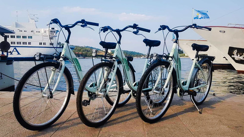 Montana  City Bike 