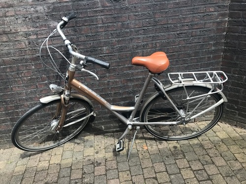 Batavus Batavus