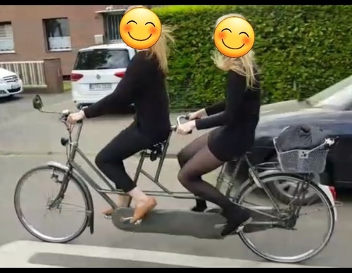 Gazelle Tandem