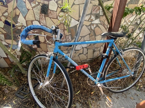 Schwinn  La tour