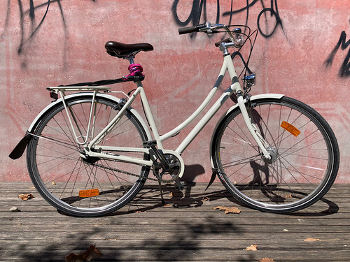 specialized Daily