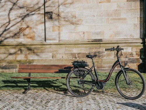 E-Bike (Advanced) C007 (grau)