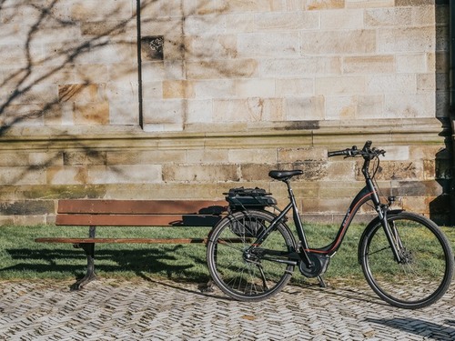 E-Bike (Advanced) C007 (grau)