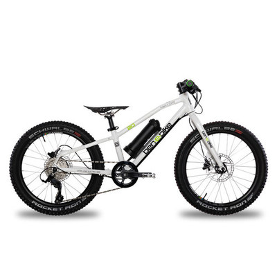 Ben E-bike Twenty e-Power