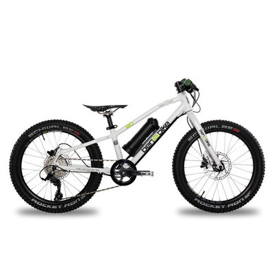 Ben E-bike Twenty e-Power