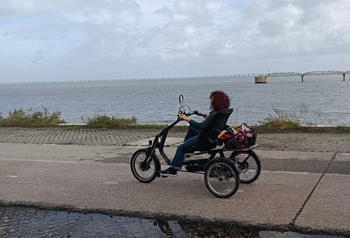 Van Raam Easy Rider
