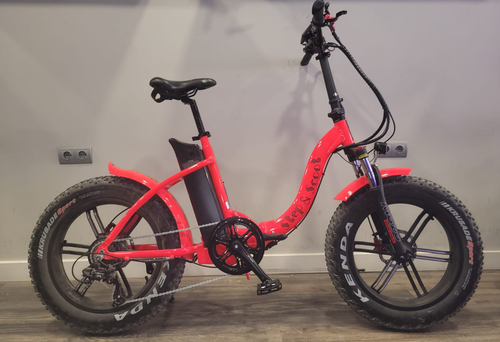 E-Bike Step & scoot