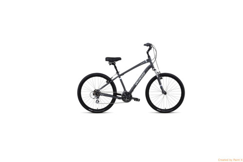 Specialized Comfort Expidition