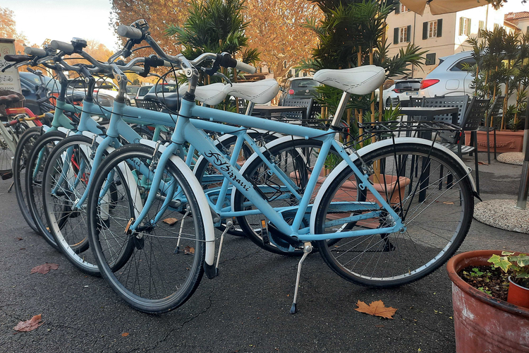 Cicli Bizzarri Men