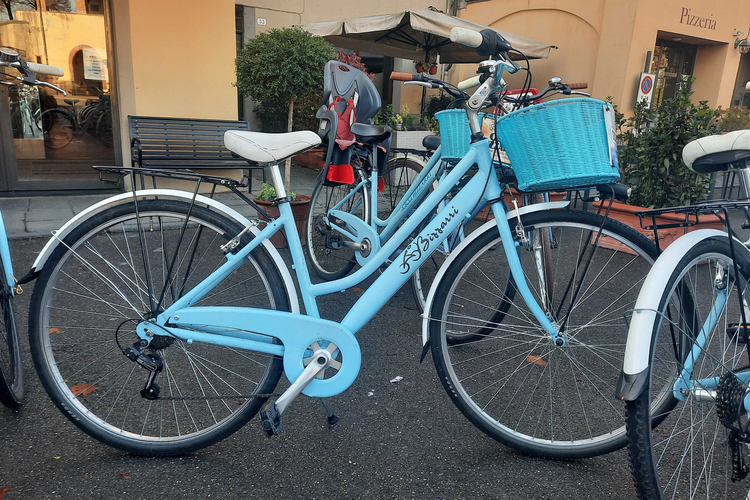 Cicli Woman