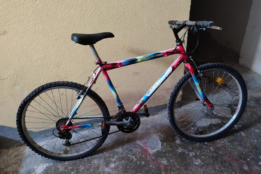 Mountain Bike Mountain Bike