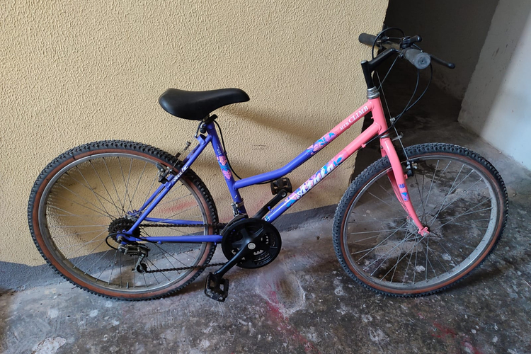 Atala Mountain Bike Womens