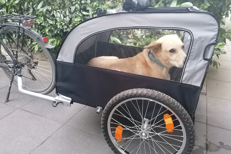 Fahrradanhänger für Tiere & Gegenstände bis 40 kg