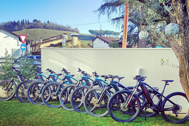 Bianchi T-Tronic  Sport