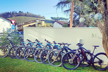Bianchi T-Tronic  Sport