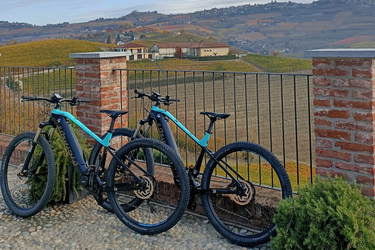 Bianchi T-Tronic  Sport
