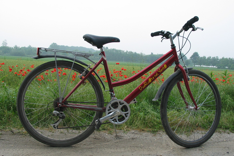 Due Ruote nel Vento Urban