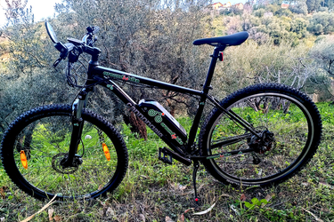 Cannondale Trail 8