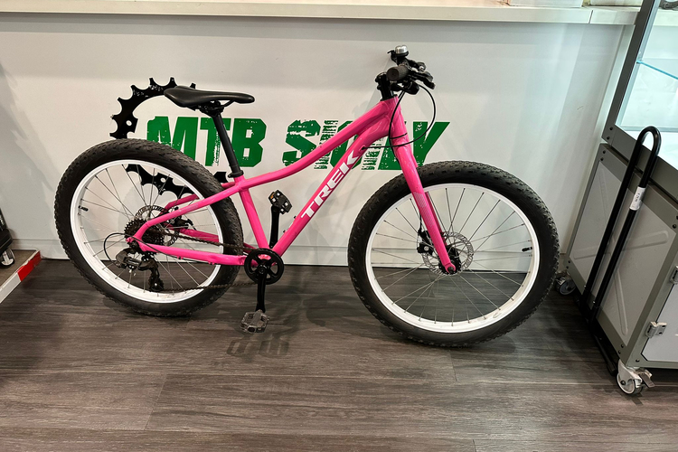 trek roscoe 24