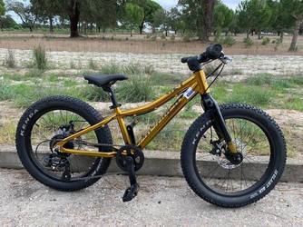 Bergamont 20 PLUS BOY