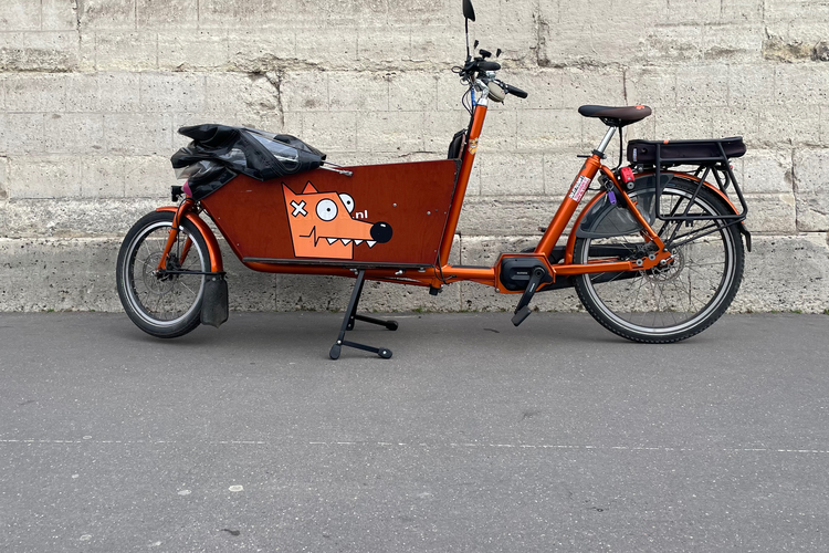Bakfiets BAKFIETS BIKE classic long steps