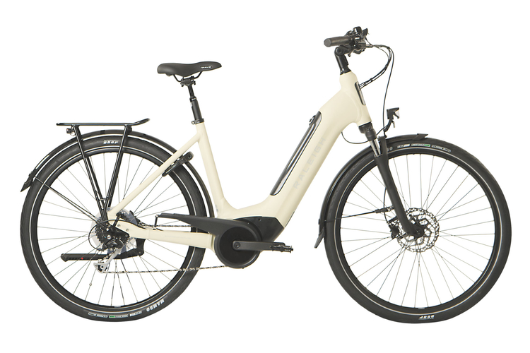 Raleigh Raleigh Motus GT Low-Step
