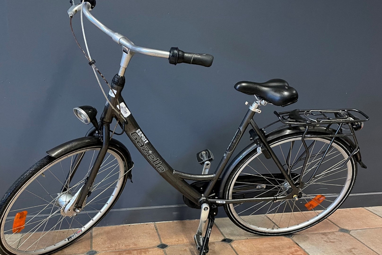 Gazelle Esprit