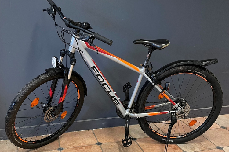 Focus Mountainbike