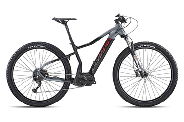 olympia performer 900 tg M 