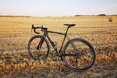 Viner Superprestige