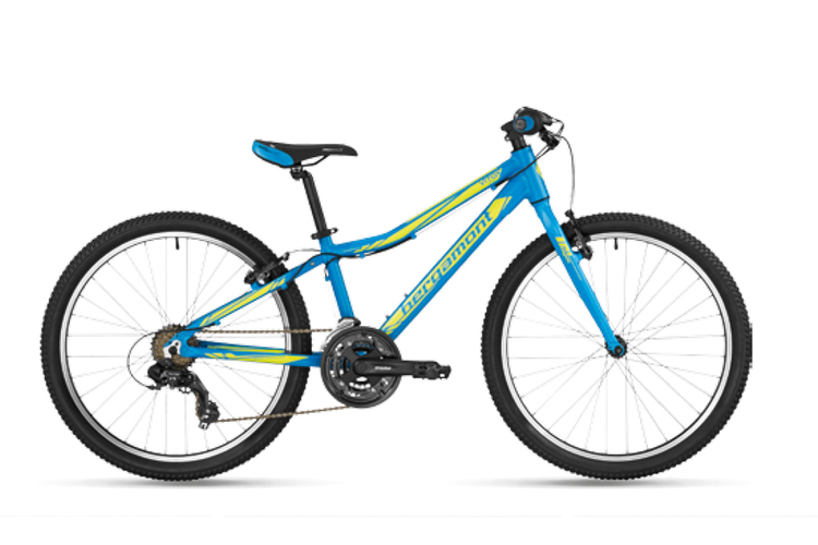 Bergamont Bergamonster