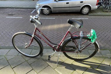 Gazelle Classic