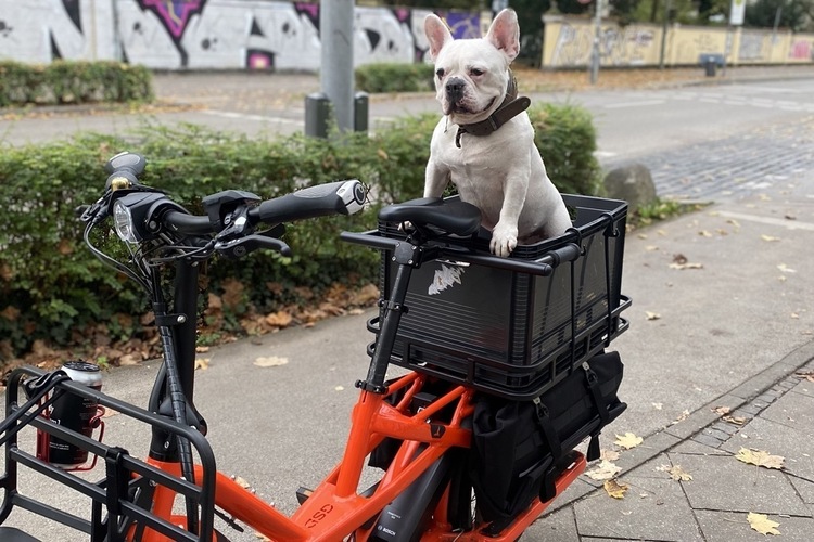 Tern GSD 00