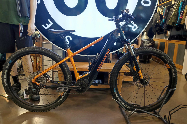 BERGAMONT E-REVOX EXPERT