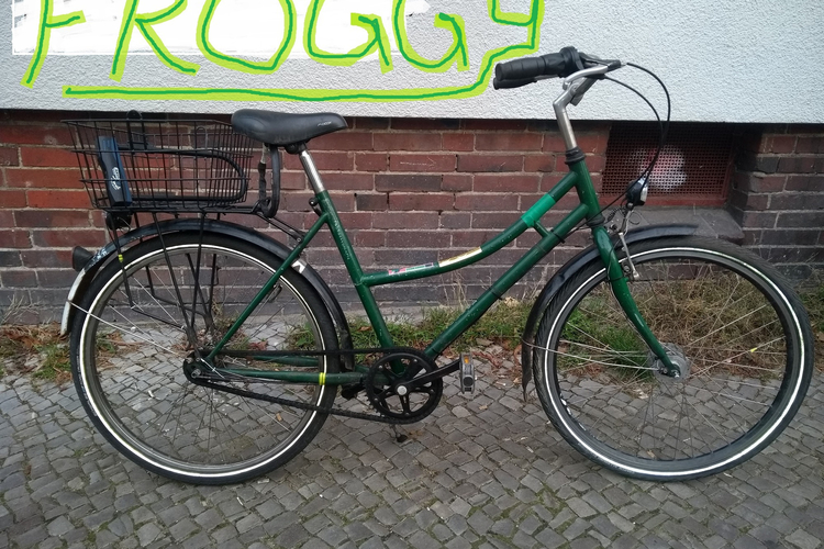 Froschrad Froggy