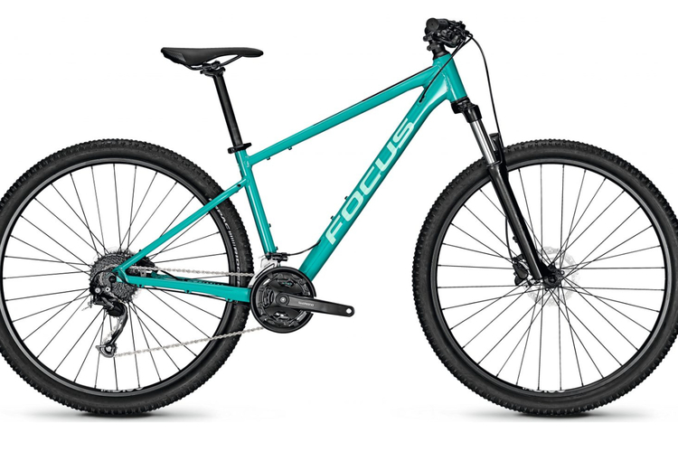 Focus Whistler 3.6 29"