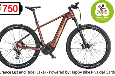 KTM Macina Team 792-750wh