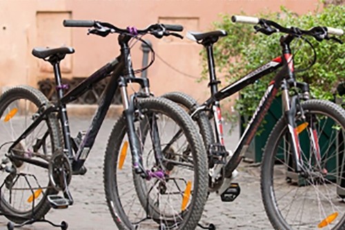 Specialized Mtb