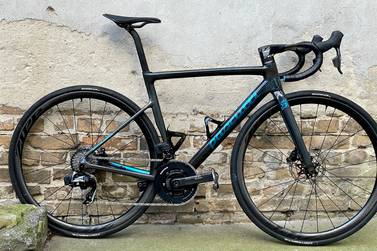 Pasculli Cremona SCR