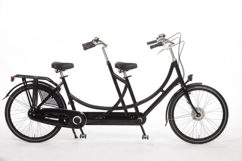 Gazelle Tandem