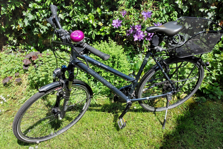 Gudereit Premium line LC 75