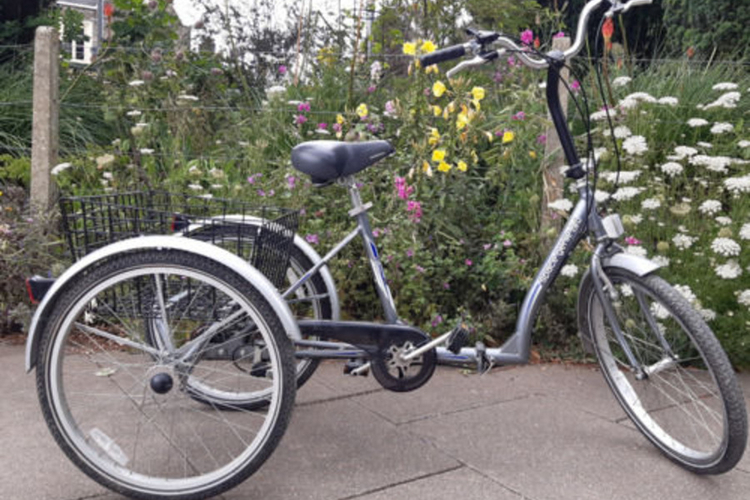 Adult trike Adult trike