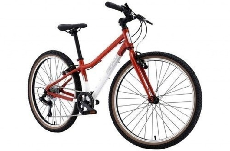 Child's bike (8-12yo) Child's bike (8-12yo)