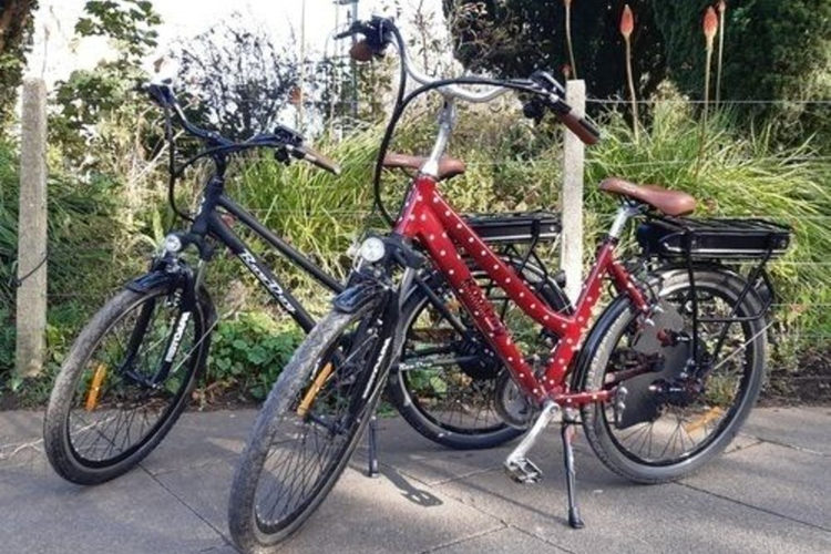 RooDog E-bike E-bike