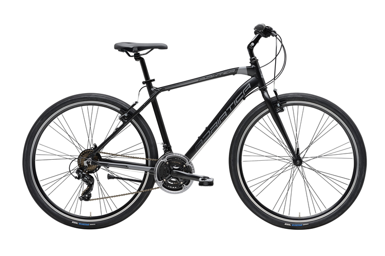 Adriatica Boxter FY Man