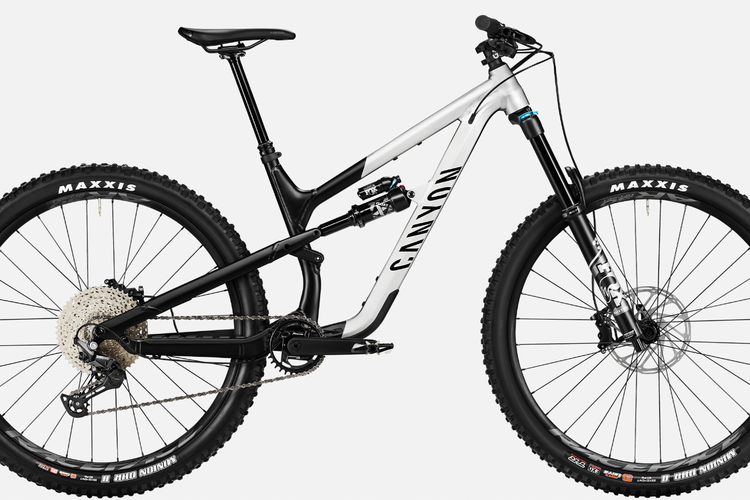 Canyon Spectral 29 AL 5 Raw'kn'Roll