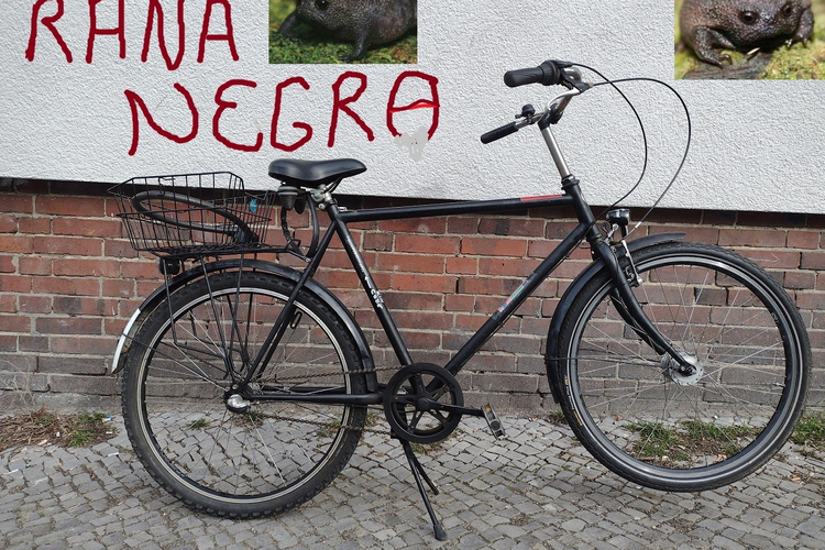 Froschrad Rana Negra