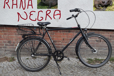 Froschrad Rana Negra