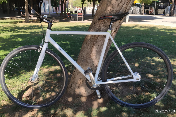Fixed Gear Bike